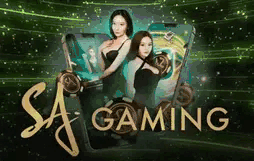 มาเฟีย 168